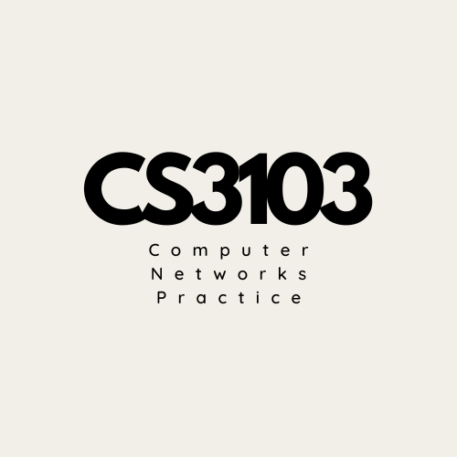 CS3103 Computer Networks Practice